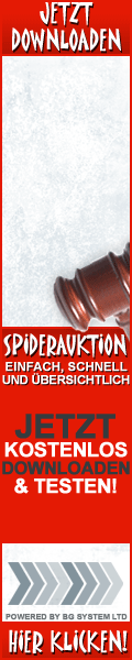SpiderAuktion Banner 120x600